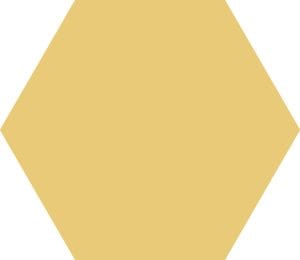 BASIC HEX DANDELION