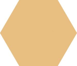 BASIC HEX MANGO