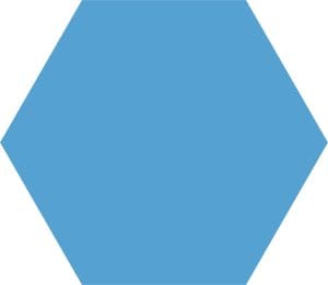 BASIC HEX NIAGARA